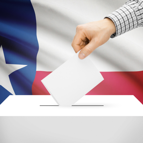 Secure Texas Elections