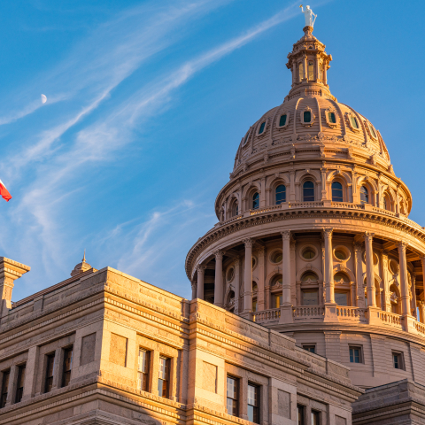 Cut Government Waste